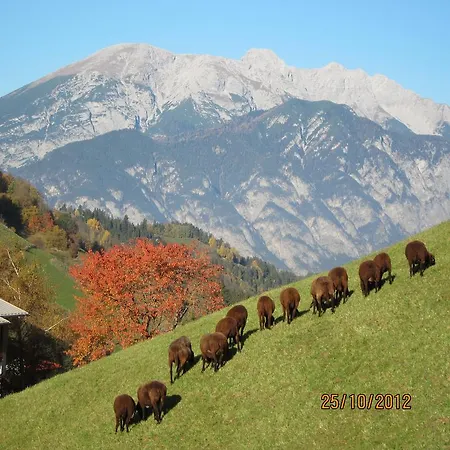 Çiftlik konaklama Lexhof *