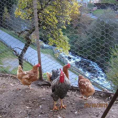 Vakantieboerderij Lexhof Sellrain
