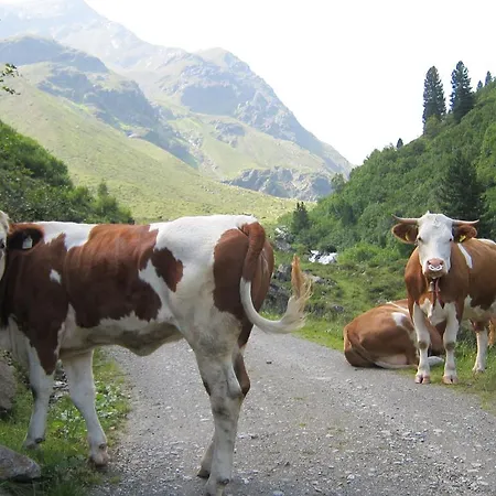 Vakantieboerderij Lexhof *
