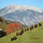 팜스테이 Lexhof *