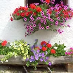 Farm stay Lexhof *