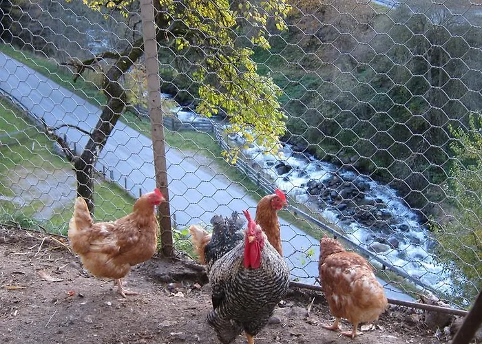 农家乐 Lexhof Sellrain