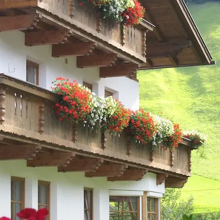 Lexhof *