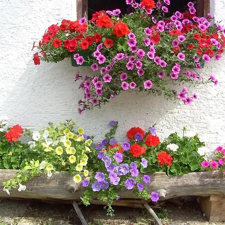Farm stay Lexhof *
