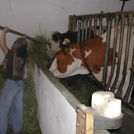 Farm stay Lexhof